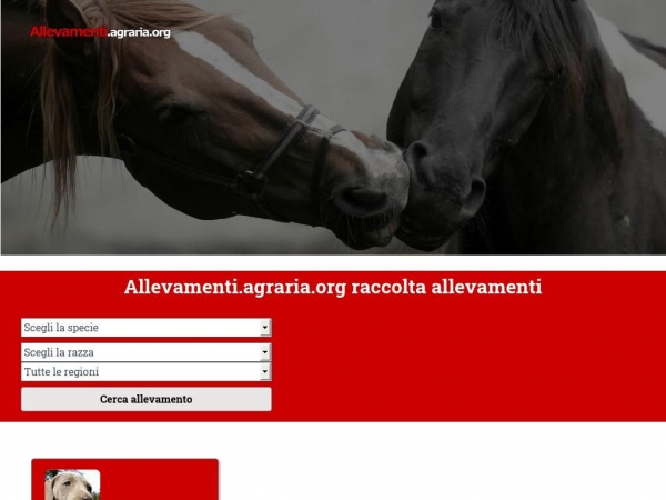 allevamenti.agraria.org