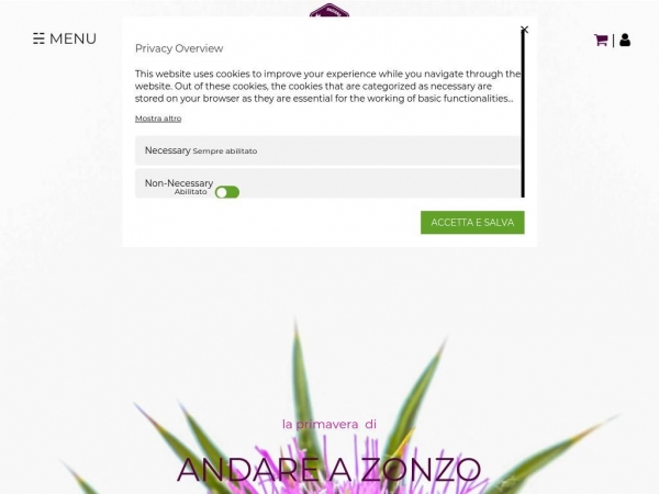 andareazonzo.com