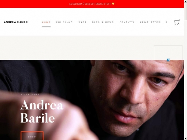 andreabarile.com