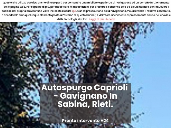 autospurgocaprioli.it