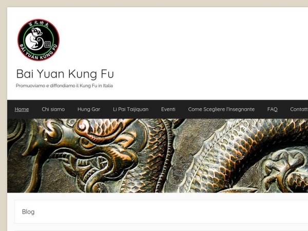 baiyuankungfu.com