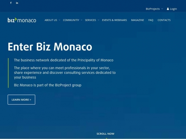 bizmonaco.com