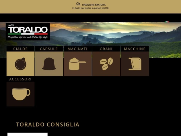 caffetoraldo.it