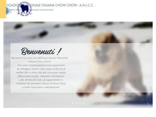 clubitalianochowchow.com