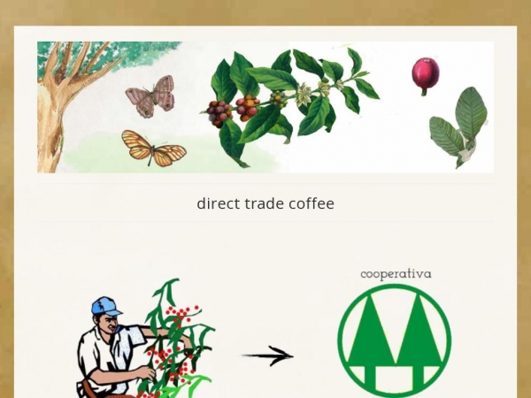 directtrade.coffee