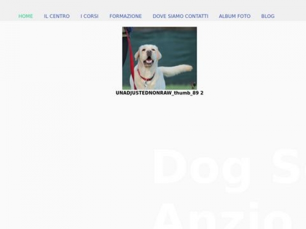 dogschoolanzio.com