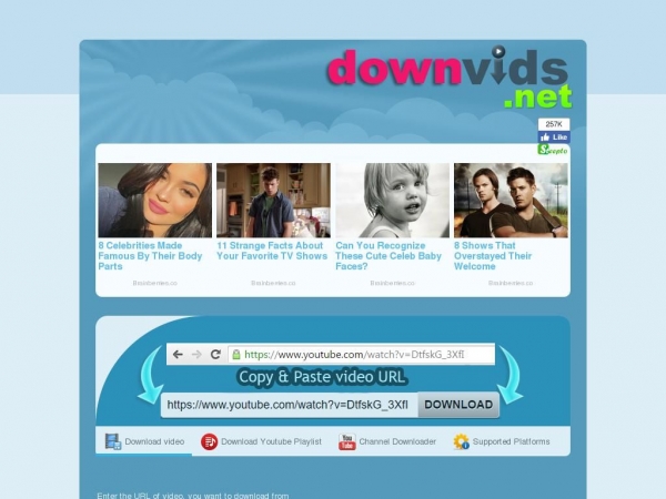 downvids.net