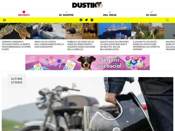 dustik.com