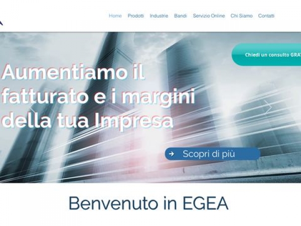 egeaconsult.com