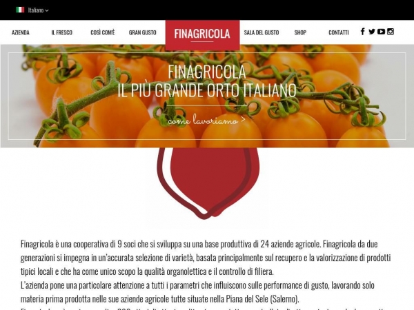 finagricola.it