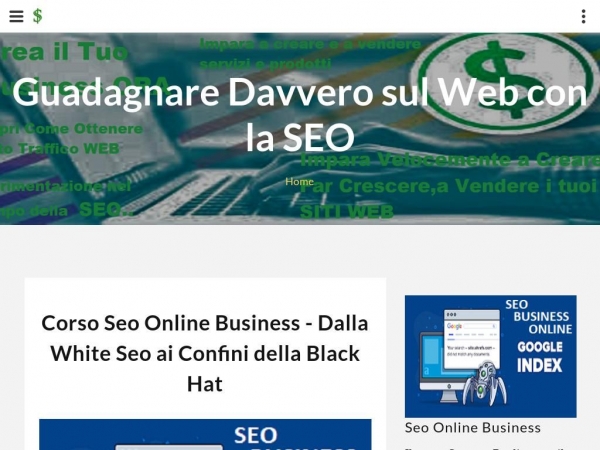 guadagnare-davvero-sul-web-con-la-seo.com