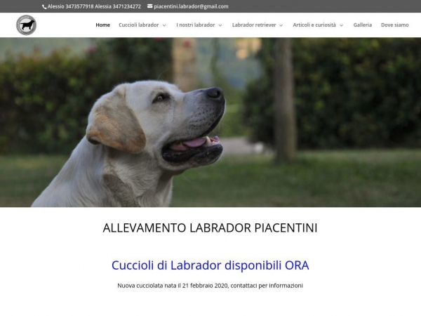 labradorpiacentini.it