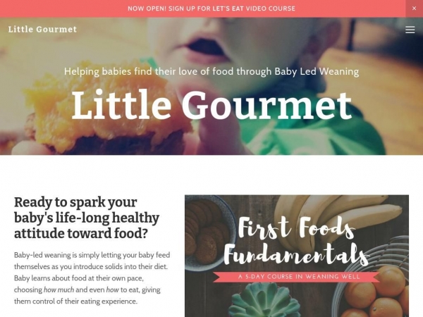 littlegourmetbaby.com