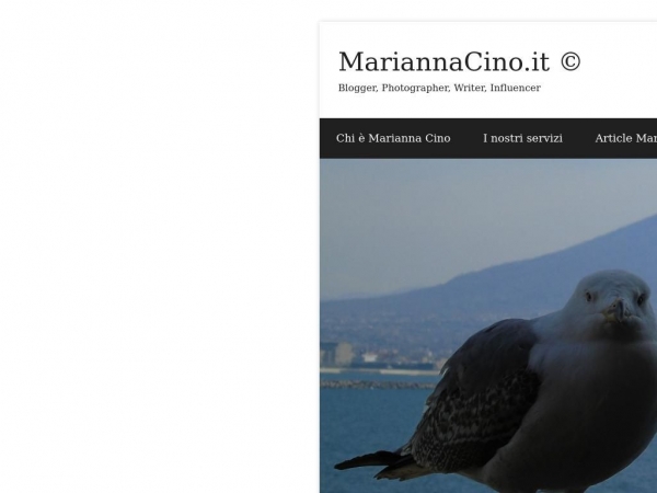 mariannacino.it