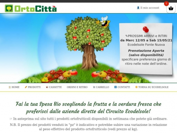 ortocitta.com