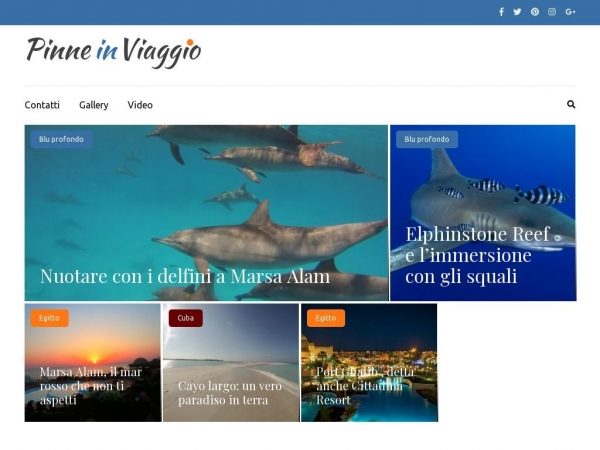 pinneinviaggio.com