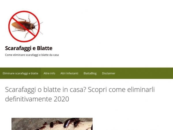 scarafaggiblatte.com