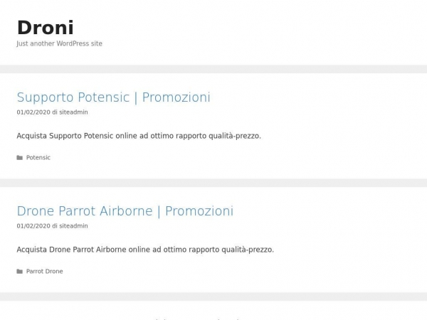 scontidroni.com