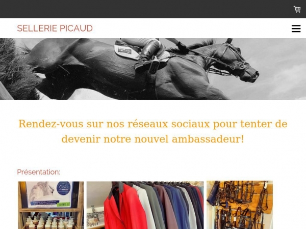 selleriepicaud.fr