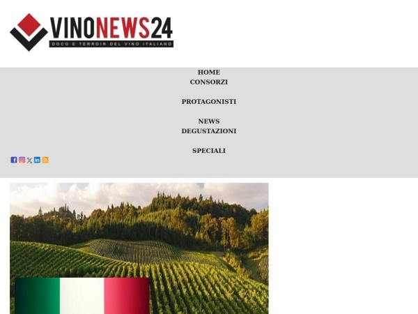 vinonews24.it