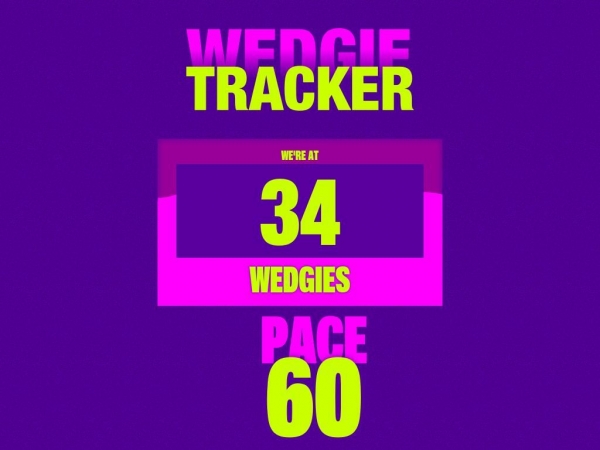 wedgietracker.com