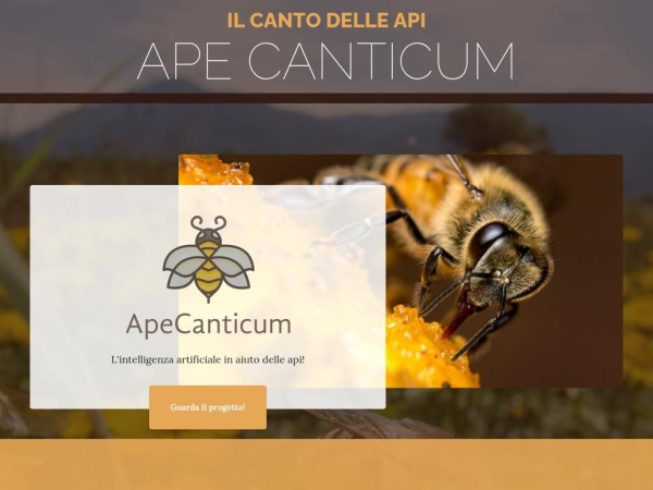 apecanticum.com