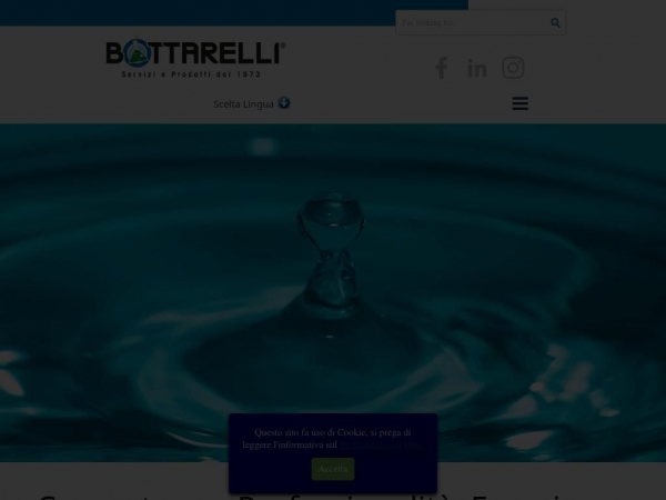 bottarelliluciano.com