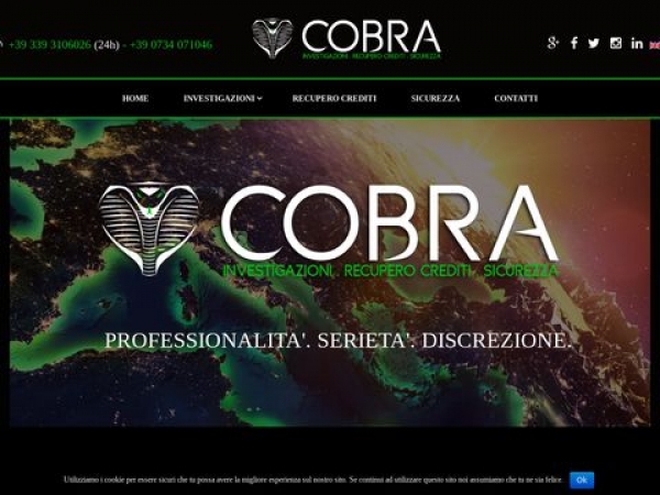 cobrainvestigazioni.com