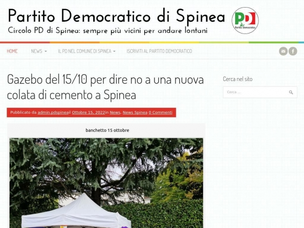 pdspinea.it