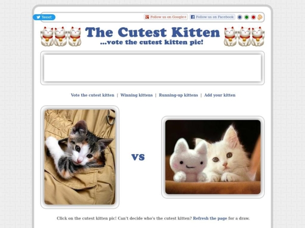 thecutestkitten.com